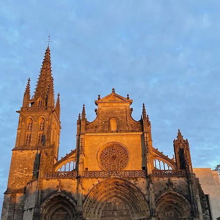 Le Clos De La Cathedrale 巴扎斯 外观 照片